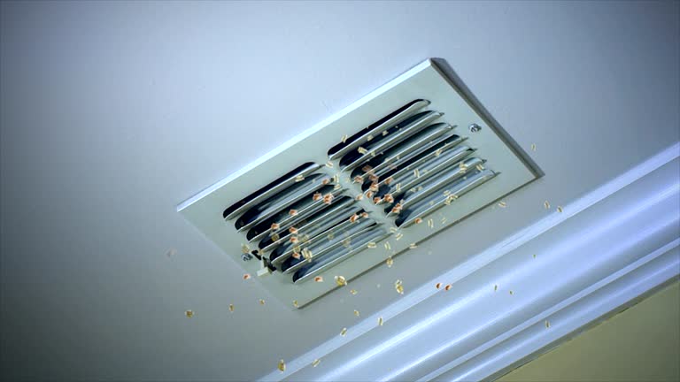 Best Affordable Air Duct Cleaning  in Selma, NC