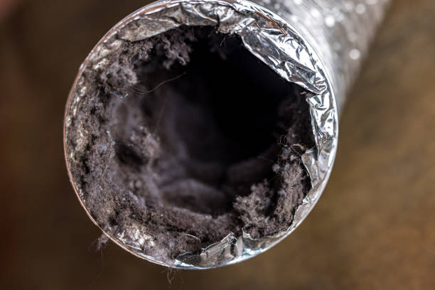 Best Ventilation Cleaning Services  in Selma, NC